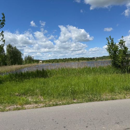 Производственная база (ОАО "ЛЕСОХИМИК")